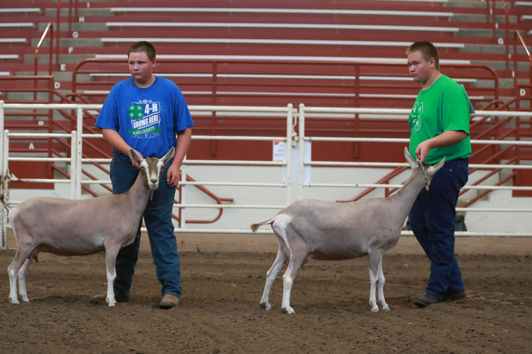 072320_HCFGoatShow004_bjs.JPG